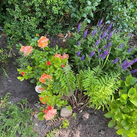 Urlaubsdomizil Norden/Norddeich, Mit Garten エクステリア 写真